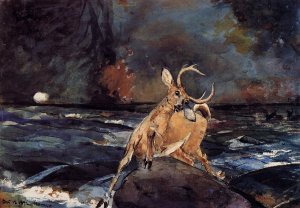 A Good Shot, Adirondacks by Oil Painting Reproduction