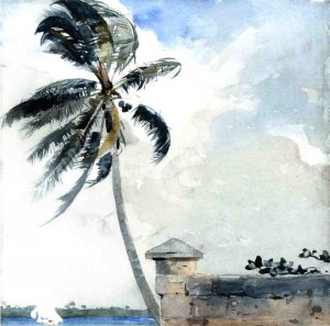 A Tropical Breeze, Nassau by Winslow Homer Oil Painting Reproduction