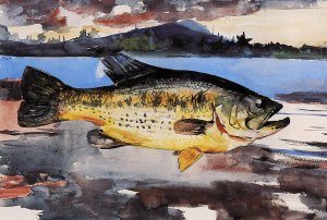 Bass by Oil Painting Reproduction