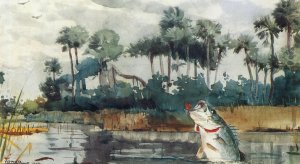 Black Bass, Florida by Oil Painting Reproduction