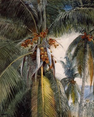 Coconut Palms, Key West by Oil Painting Reproduction