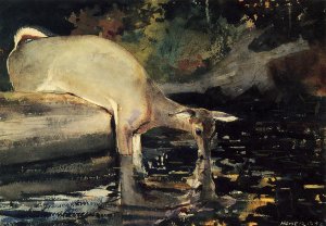 Deer Drinking by Oil Painting Reproduction