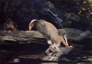 Fallen Deer by Oil Painting Reproduction