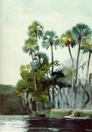 Homosassa River by Oil Painting Reproduction