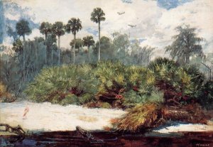 In a Florida Jungle by Oil Painting Reproduction