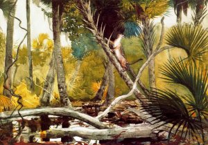 In the Jungle, Florida by Winslow Homer Oil Painting Reproduction