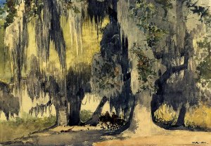 Live Oaks by Winslow Homer Oil Painting Reproduction