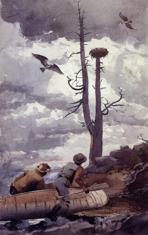 Osprey's Nest by Oil Painting Reproduction