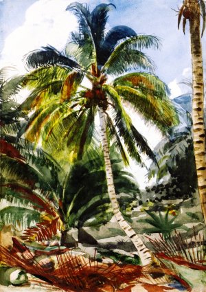 Palm Trees, Bahamas by Winslow Homer Oil Painting Reproduction