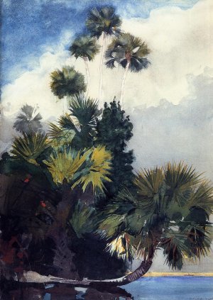 Palm Trees, Florida by Oil Painting Reproduction