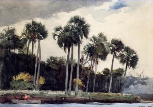 Red Shirt, Homosassa, Florida by Winslow Homer Oil Painting Reproduction