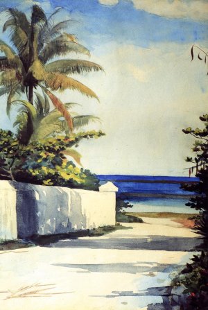 Road in Nassau also known as No.1 Nassau Street by Winslow Homer Oil Painting Reproduction