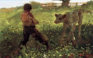 The Unruly Calf by Oil Painting Reproduction